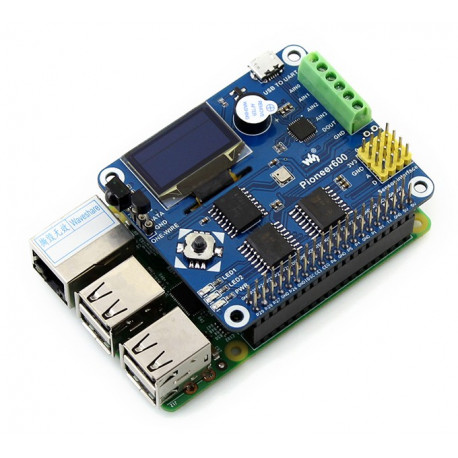 rasp pi